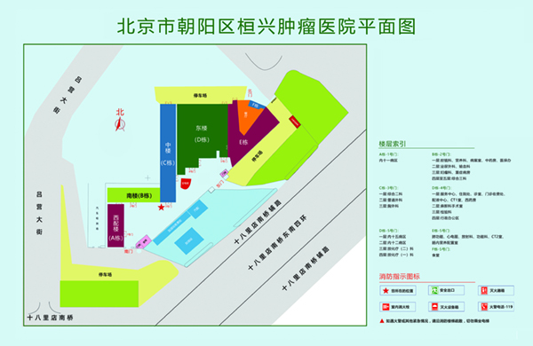 嫩逼被大鸡巴操视频北京市朝阳区桓兴肿瘤医院平面图